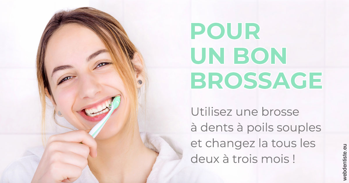 https://dr-poirier-yves.chirurgiens-dentistes.fr/Pour un bon brossage 2