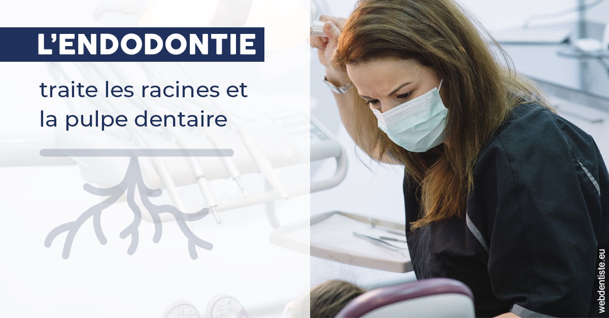 https://dr-poirier-yves.chirurgiens-dentistes.fr/L'endodontie 1