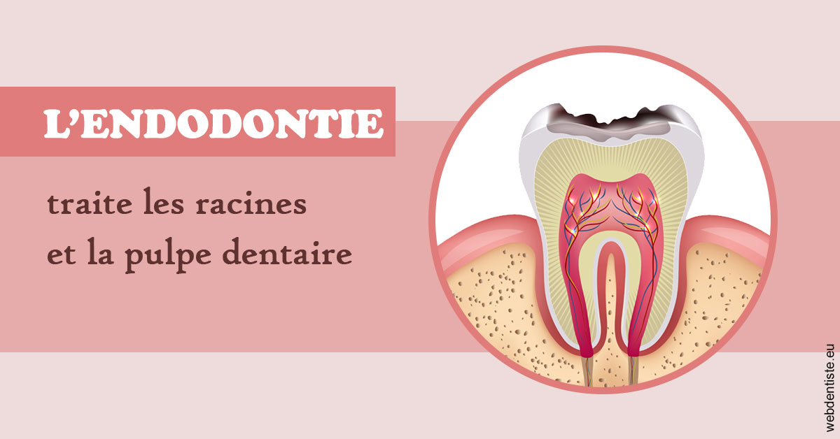https://dr-poirier-yves.chirurgiens-dentistes.fr/L'endodontie 2