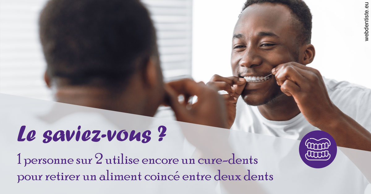 https://dr-poirier-yves.chirurgiens-dentistes.fr/Cure-dents 2