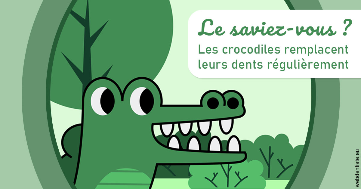 https://dr-poirier-yves.chirurgiens-dentistes.fr/Crocodiles 2