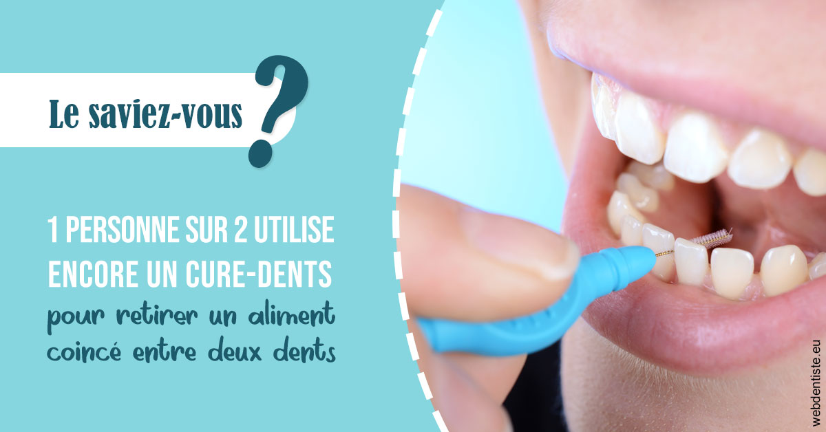 https://dr-poirier-yves.chirurgiens-dentistes.fr/Cure-dents 1