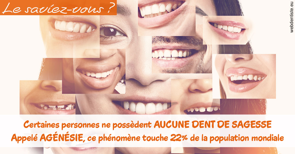https://dr-poirier-yves.chirurgiens-dentistes.fr/Agénésie 2