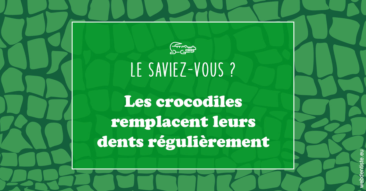 https://dr-poirier-yves.chirurgiens-dentistes.fr/Crocodiles 1